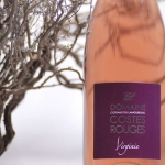 Cuve Virginie Ros 2022 BIO